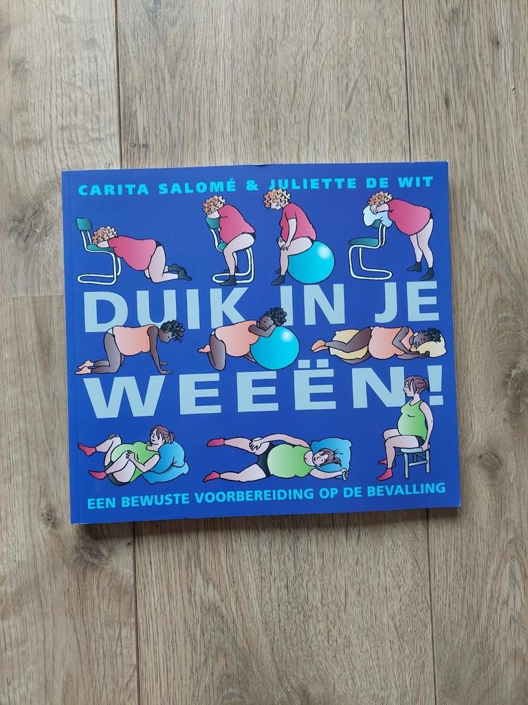 Zwangerschapsboek, Ophalen of Verzenden, Zo goed als nieuw, Zwangerschap en Bevalling