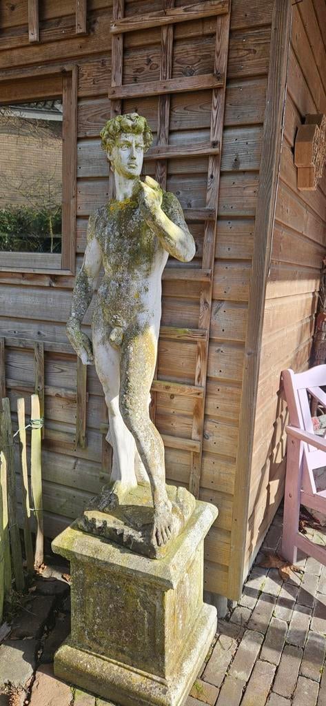 Tuinbeeld (michelangelo) David, Ophalen