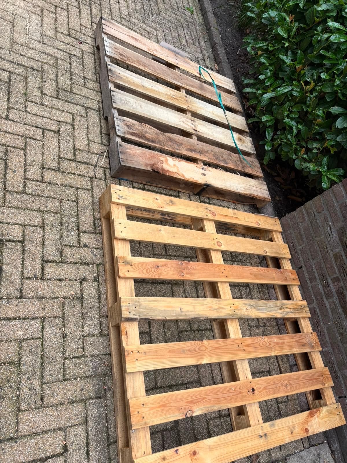 Gebruikte Pallets gratis afhalen, Doe-het-zelf en Verbouw, Hout en Planken, Ophalen, Gebruikt, 50 mm of meer, Pallet
