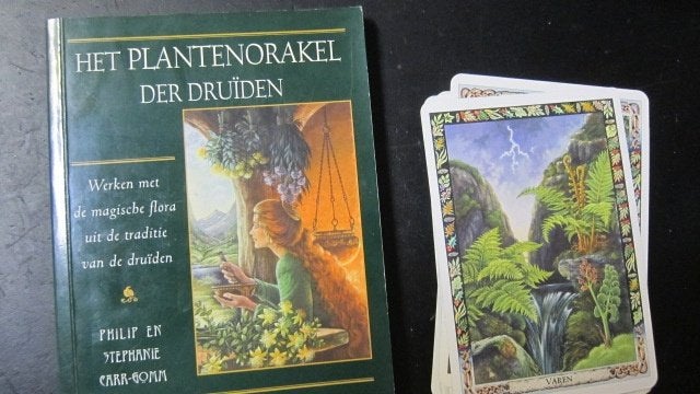 Carr - Gomn - Het plantenorakel der Druïden, Boeken, Ophalen of Verzenden, Zo goed als nieuw, Tarot of Kaarten leggen, Instructieboek