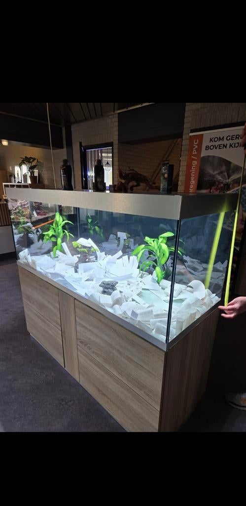 Oase highline 600 incl meubel. NIEUWSTAAT! ( incl 2 filters, Dieren en Toebehoren, Vissen | Aquaria en Toebehoren, Ophalen, Nieuw