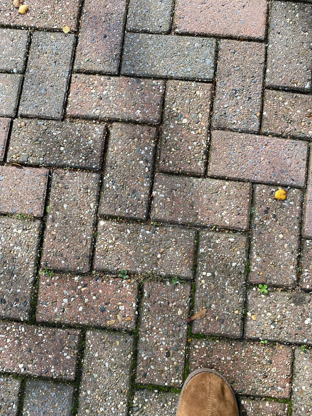 GEZOCHT: gebruikte  betonklinkers voor tuin of oprit, Tuin en Terras, Ophalen, Gebruikt, Klinkers, Minder dan 5 m²