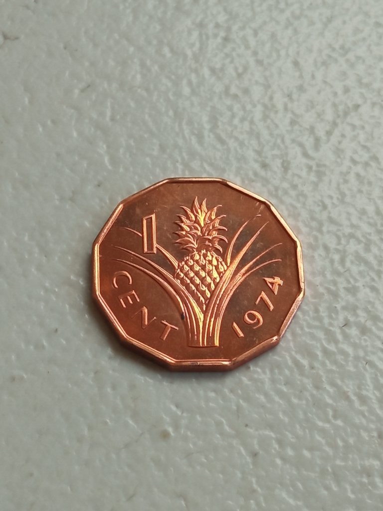 Swaziland 1 cent 1974., Postzegels en Munten, Ophalen of Verzenden, Overige landen, Losse munt