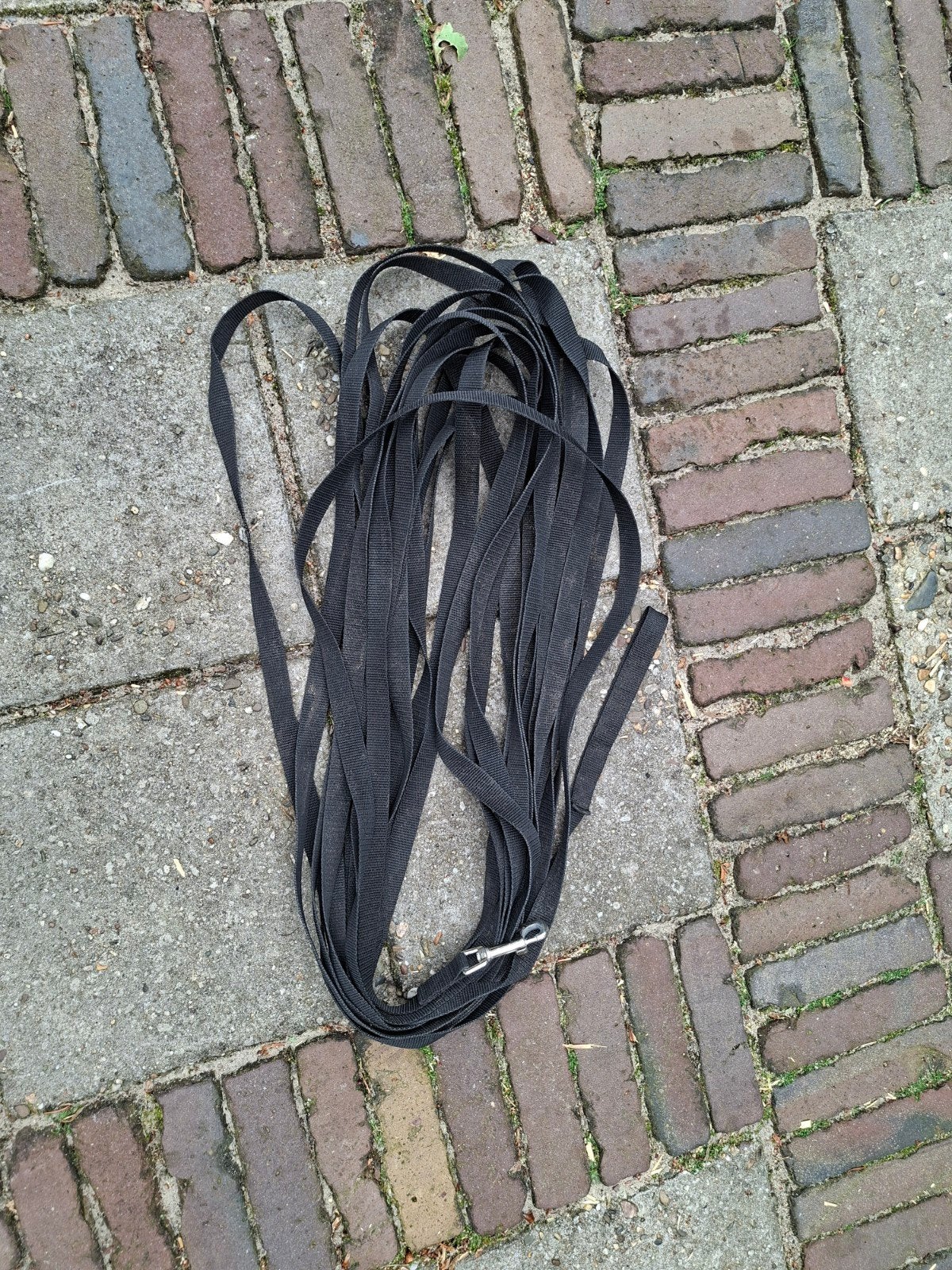 20 meter riem, Dieren en Toebehoren, Ophalen of Verzenden