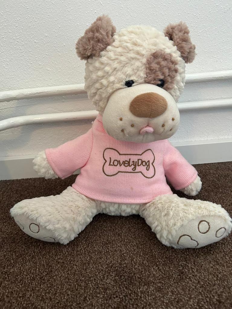 Hond knuffel net roze shirt, Ophalen of Verzenden, Zo goed als nieuw, Hond