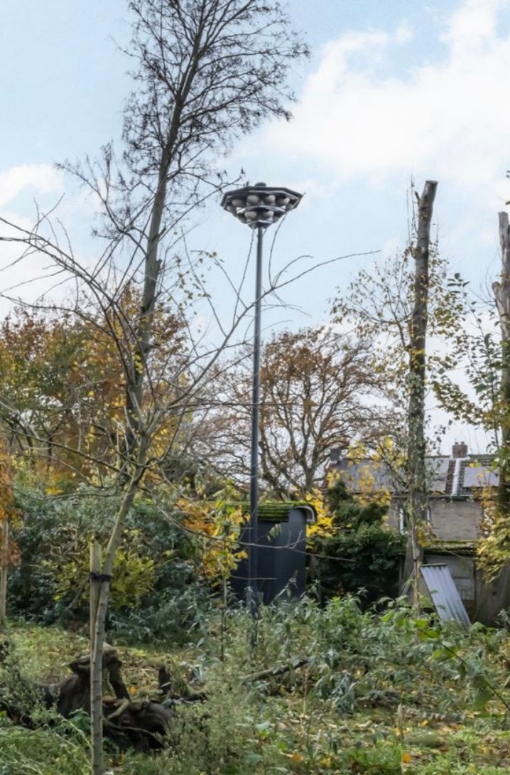 Zwaluwtil groot kunstnesten, Ophalen of Verzenden, Gebruikt, Overige typen