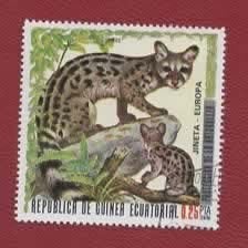 Katachtigen - Ecuatorial Guiné - 890 - Genetkat - gebr, Ophalen of Verzenden, Gestempeld, Dier of Natuur