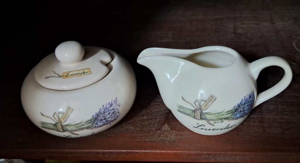 Ter Steege servies Jet melkkan en suikerpot, Overige typen, Ophalen of Verzenden, Zo goed als nieuw, Overige stijlen