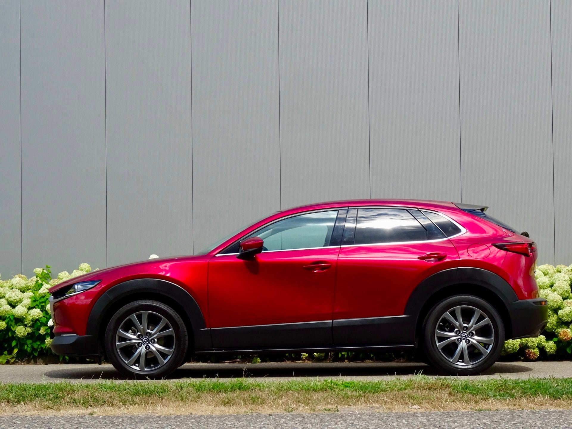 Foto 6 van Mazda CX-30 2.0 AWD e-SkyActiv-X M Hybrid Luxury | 4WD |