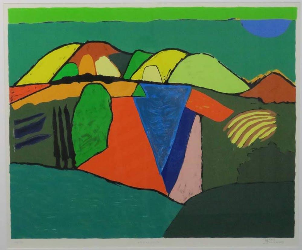 Ronald Boonacker, ingelijste zeefdruk Andalucia, Antiek en Kunst, Kunst | Litho's en Zeefdrukken, Ophalen