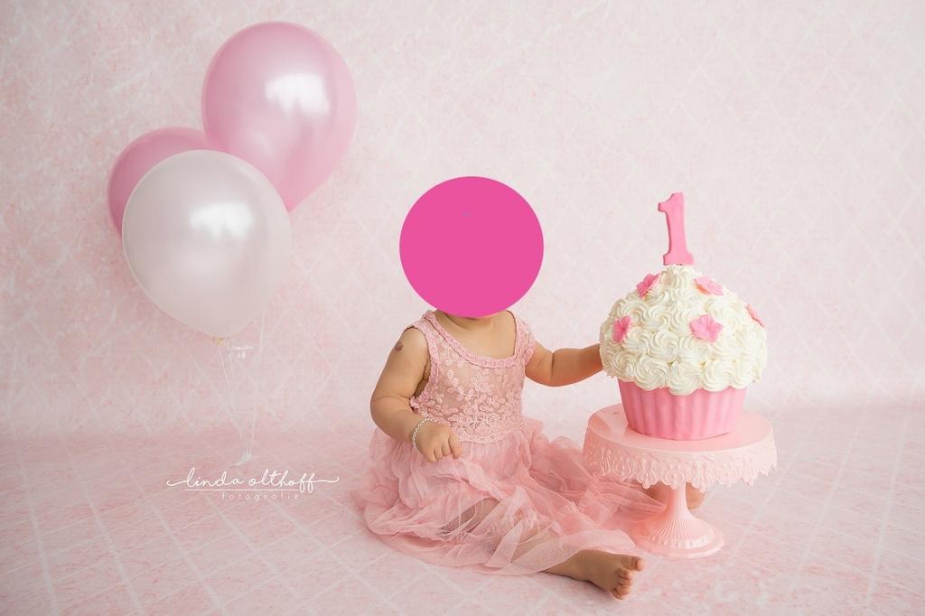 BIEDEN Complete cakesmash / sitter fotostudiospullen verkoop, Audio, Tv en Foto, Fotografie | Fotostudio en Toebehoren, Ophalen