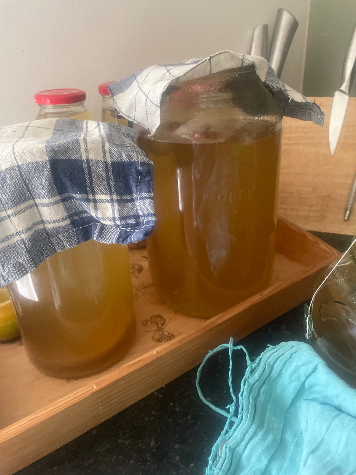 Scoby voor kambucha, Ophalen