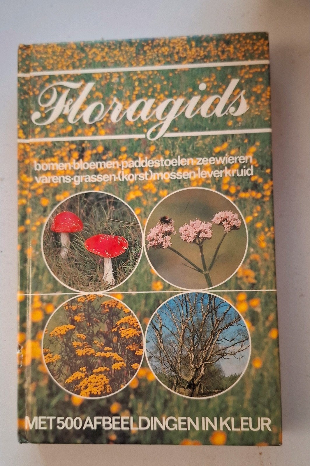 Floragids: Bomen, Bloemen, Paddenstoelen en meer, Boeken, Ophalen of Verzenden, Gelezen, Bloemen, Planten en Bomen, Onbekend