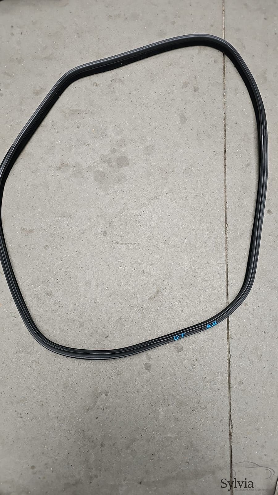 Portier deurrubber achterzijde BMW 3 serie F34 51767385027 7, Gebruikt, -, -, Ophalen of Verzenden