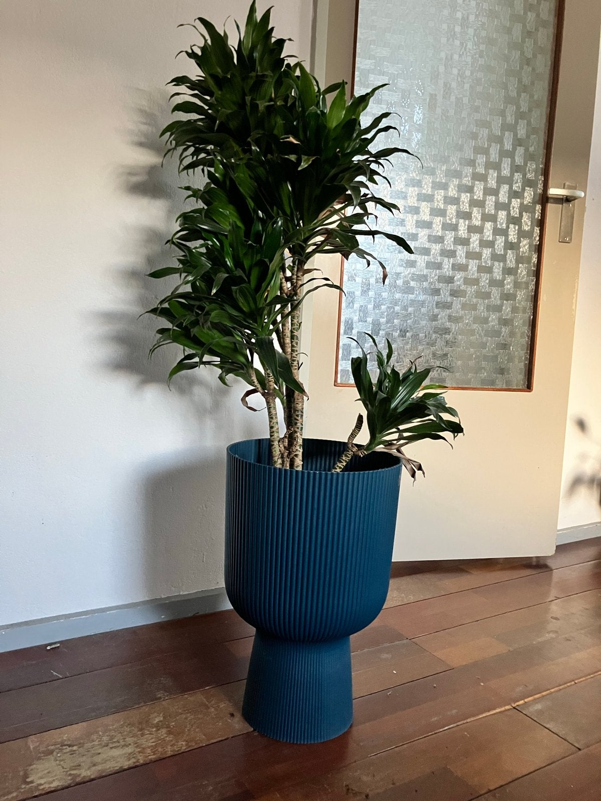 Grote dracaena (drakenbloedboom), Kunststof, Rond, Binnen, Zo goed als nieuw