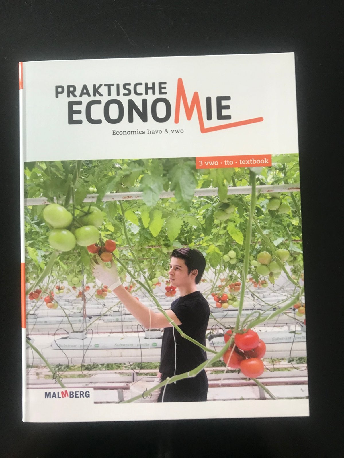 Praktische Economie - tto vwo leerjaar 3, Ophalen of Verzenden, Nieuw, Overige niveaus, Economie
