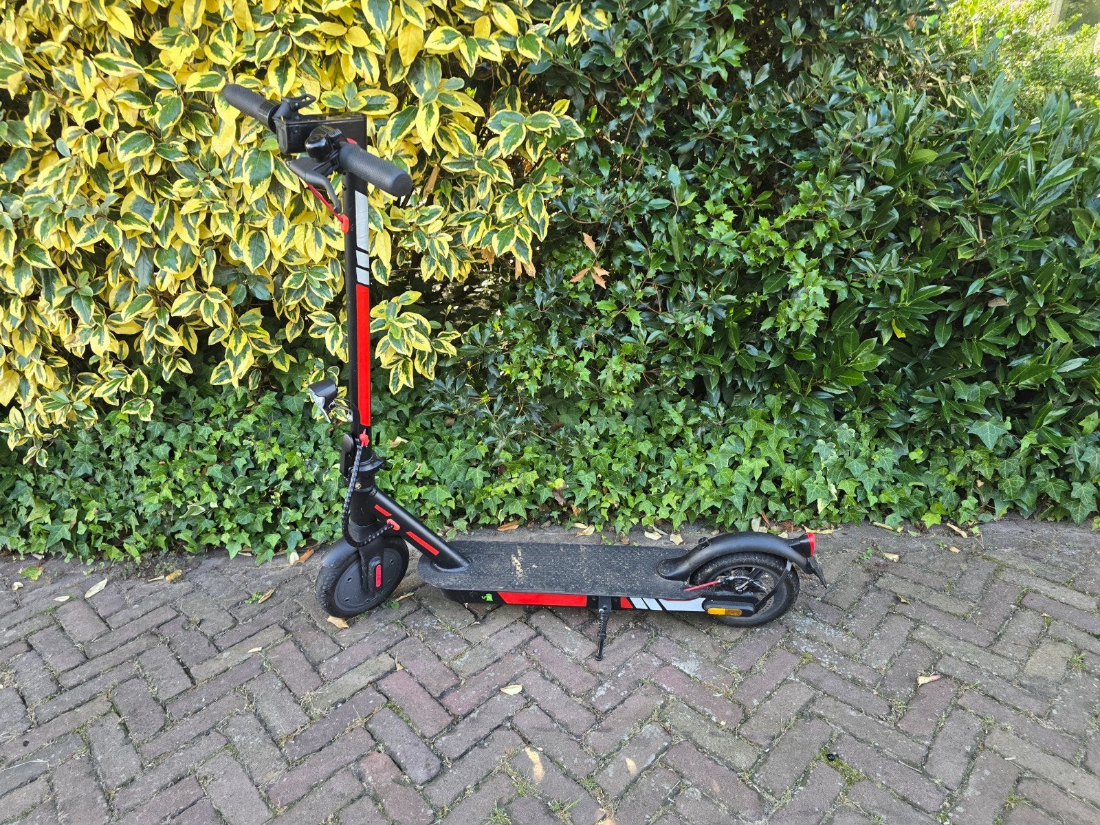 elektrische step, Ophalen of Verzenden, Gebruikt