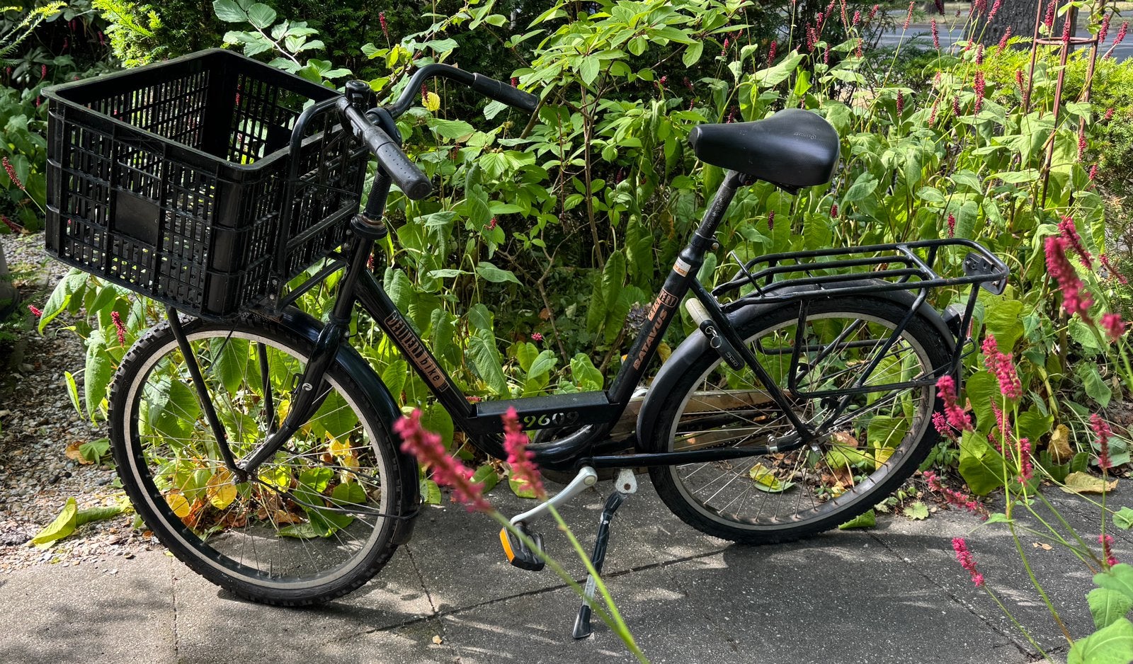 Batavus Delivery Personal Bike zwart. Met krat., Ophalen, Terugtraprem, 53 tot 56 cm, Batavus