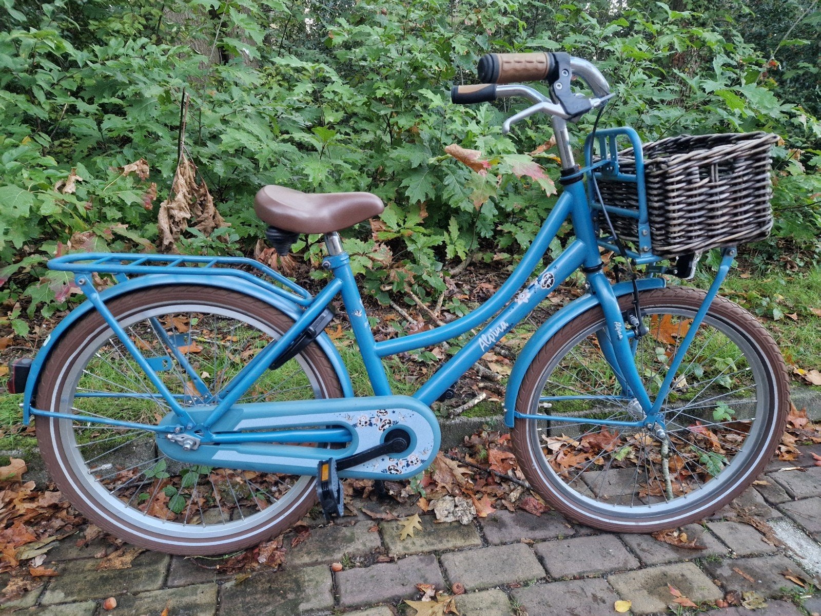 22" inch Meisjes Fiets Alpina transportfiets blauw, Ophalen, Terugtraprem, 22 inch, Gebruikt
