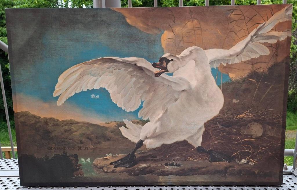 bedreigde zwaan Rijksmuseum Amsterdam decoratief vogel, Antiek en Kunst, Kunst | Schilderijen | Klassiek, Ophalen of Verzenden