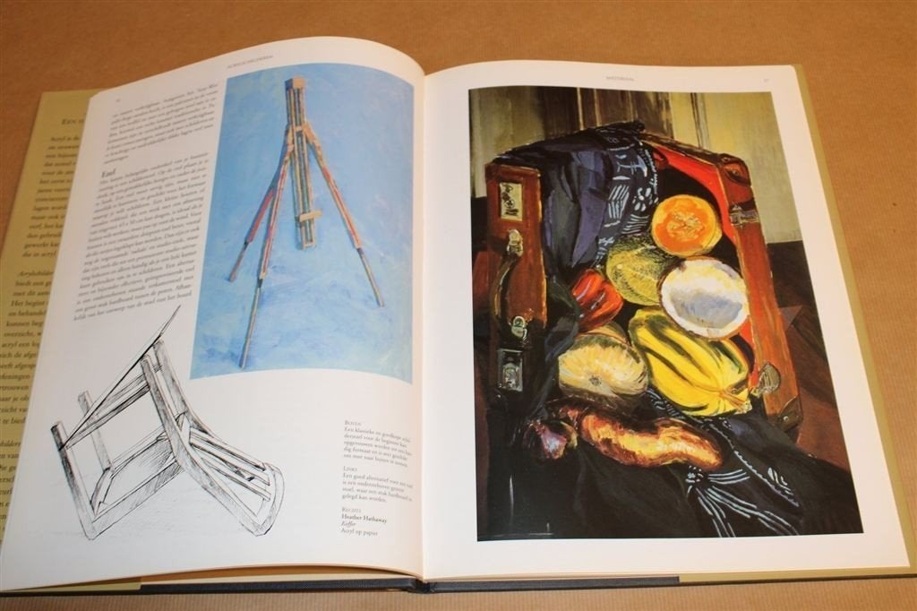 Acrylschilderen — Een Handboek voor Beginners, Ophalen of Verzenden, Gelezen, Overige onderwerpen