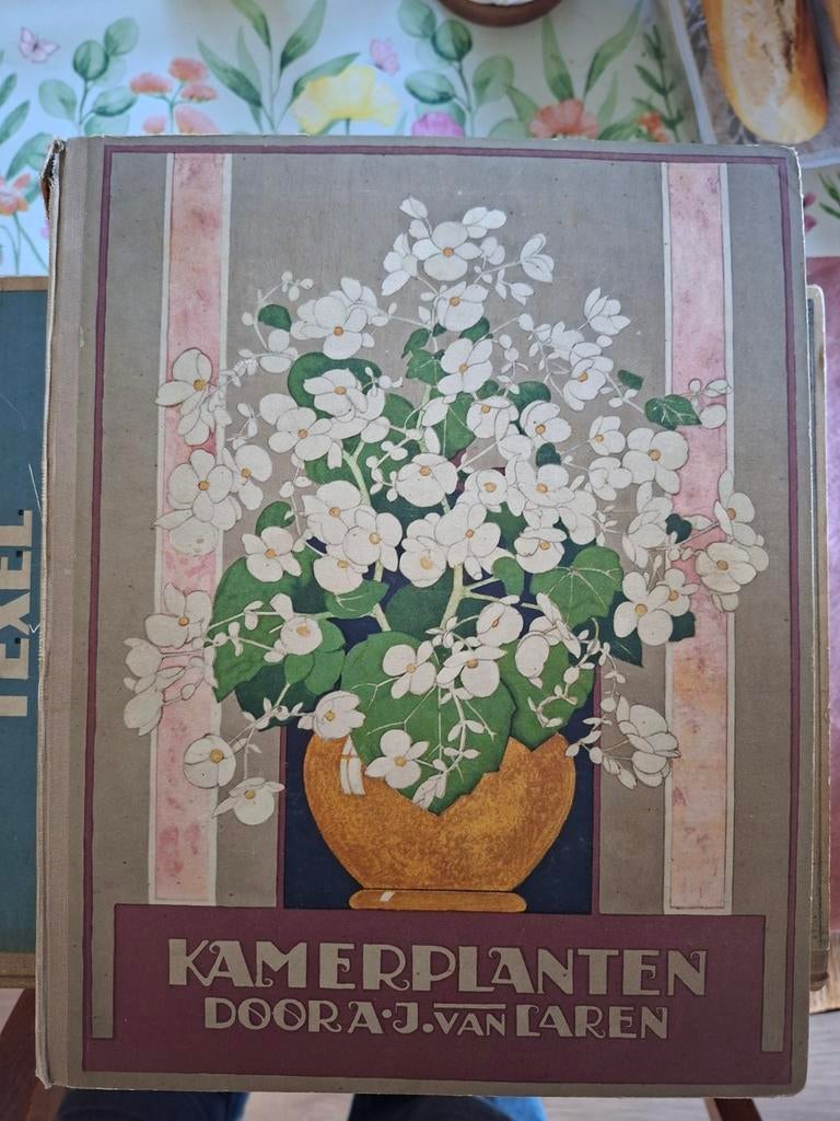 Kamerplanten door A.J. van Laren Verkade, Ophalen of Verzenden, Gelezen, A.J. van Laren, Plaatjesalbum