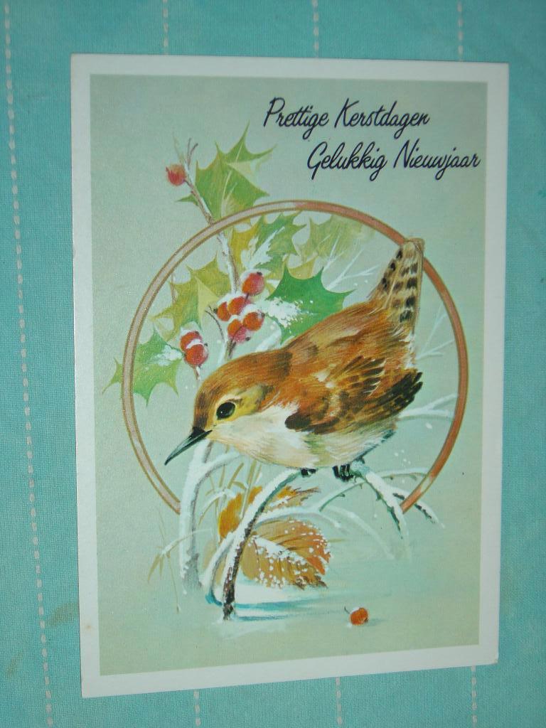 23) Kleuren ansichtkaart  Vogels, Ophalen of Verzenden, 1980 tot heden, Gelopen, Vogel