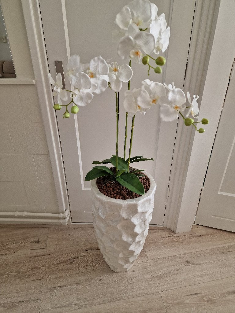 Zijden orchideeen in schelpenvaas, Ophalen, Binnen, Overige typen, Zijde