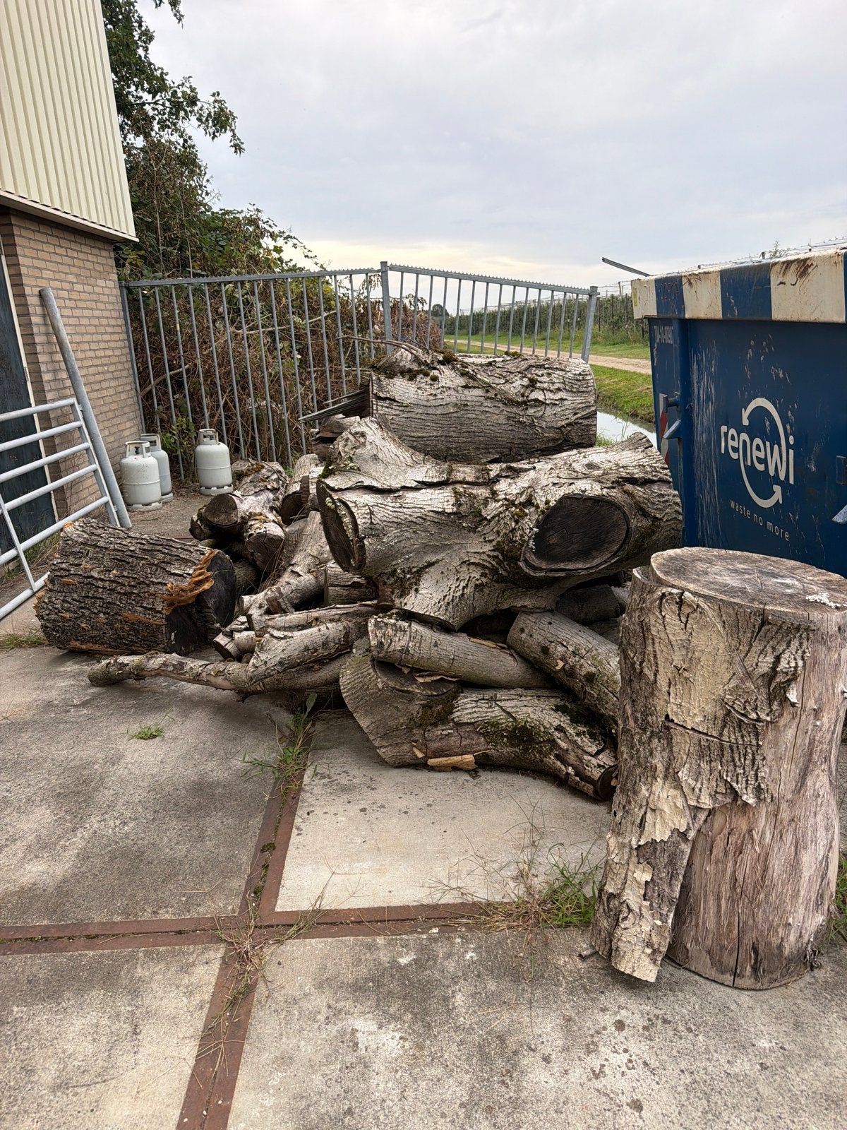 Grote partij haard hout houtstammen noten 8m3, Tuin en Terras, 6 m³ of meer, Ophalen, Overige houtsoorten, Stammen