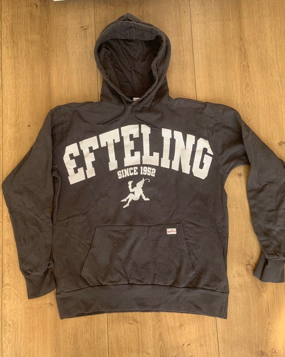 Grote efteling sweater, Ophalen of Verzenden, Gedragen, Maat 56/58 (XL), Grijs