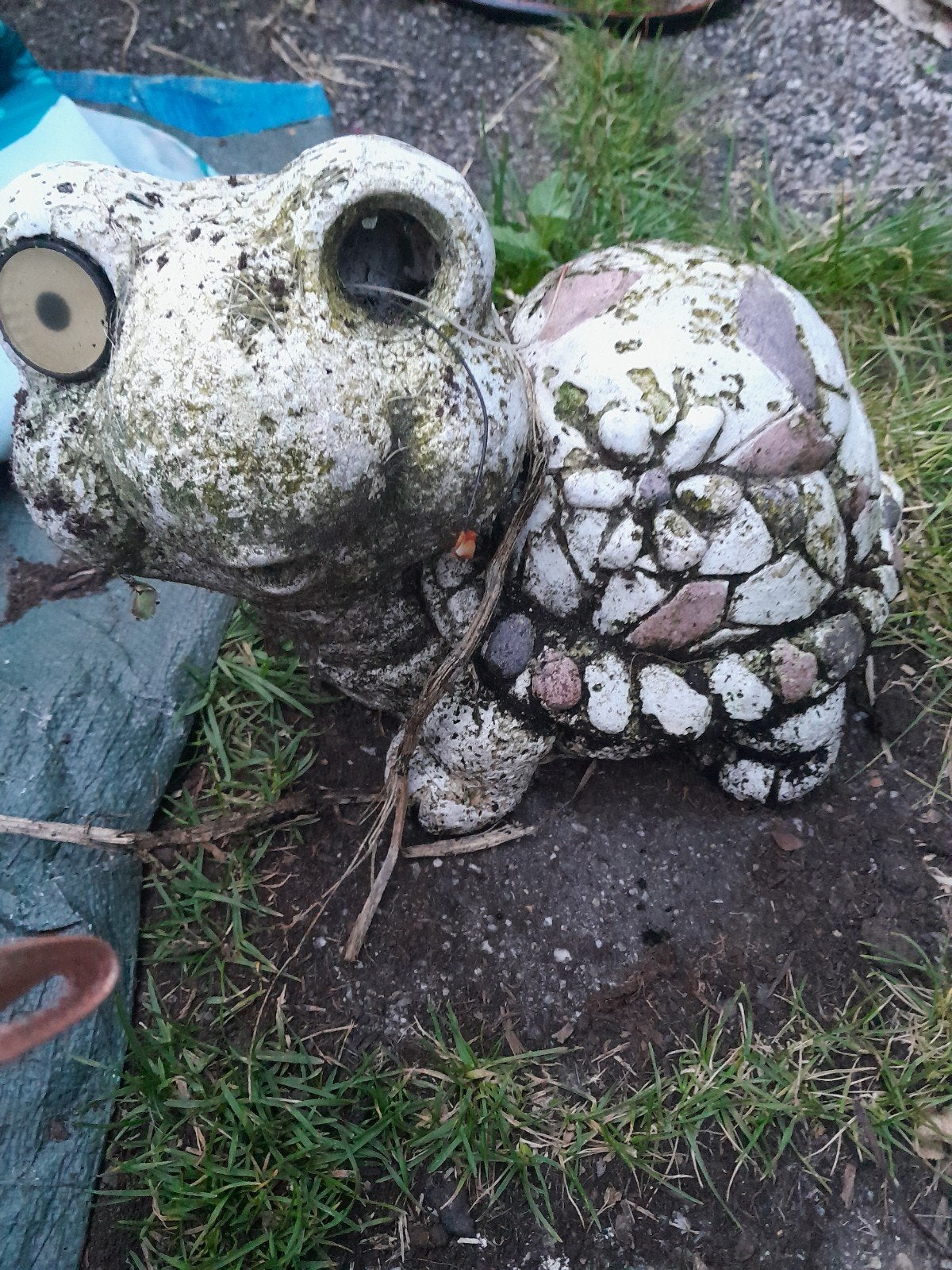 Schildpad, Ophalen, Gebruikt, Hout, Overige typen