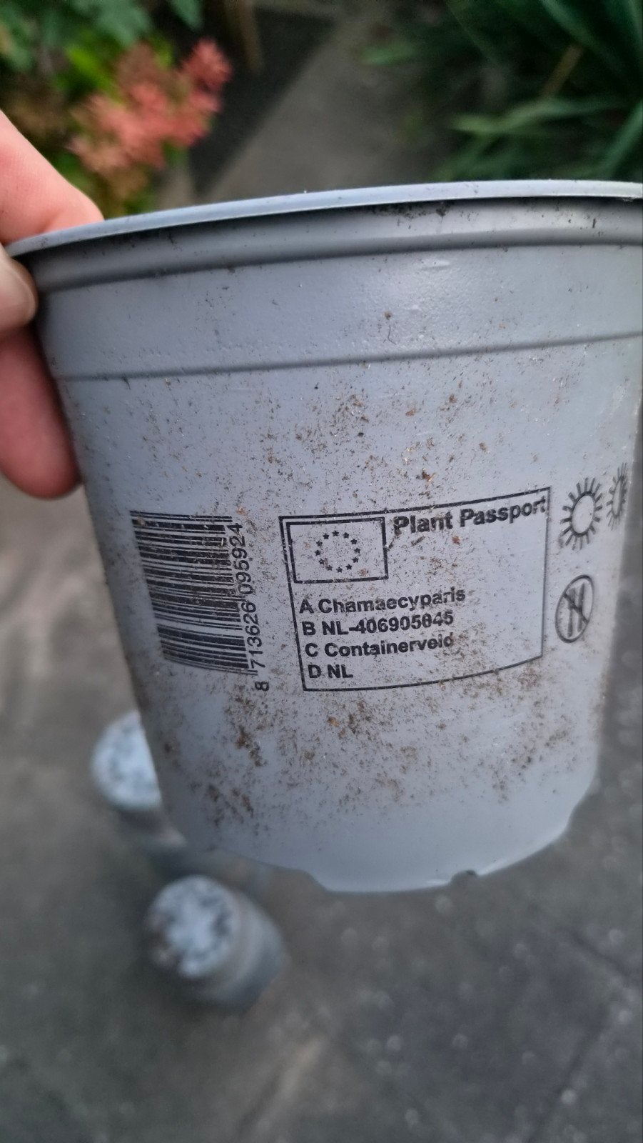 Grote partij gebruikte plantenpotten (grijs), Kunststof, Gebruikt, Rond, Ophalen of Verzenden