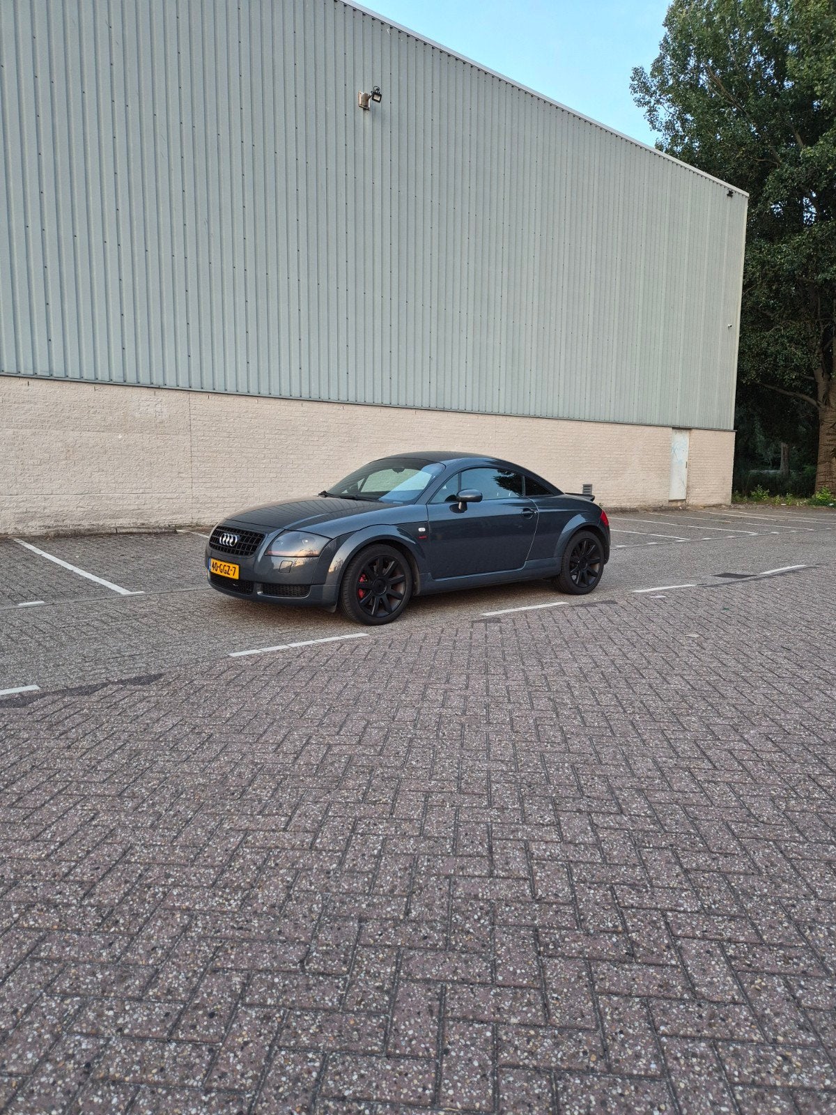 Audi TT 1.8 T Coupe 132KW 2005 Grijs