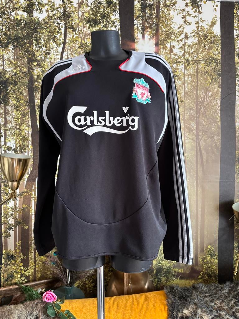 Adidas Liverpool FC trainingsshirt maat L, Trainingsshirt, Ophalen of Verzenden, Adidas, Gedragen