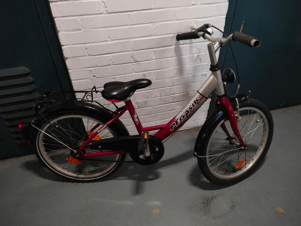 Pegasus Youngster Kinderfiets 20 inch - Rood/Zilver, Terugtraprem, Gebruikt, Minder dan 49 cm, Ophalen