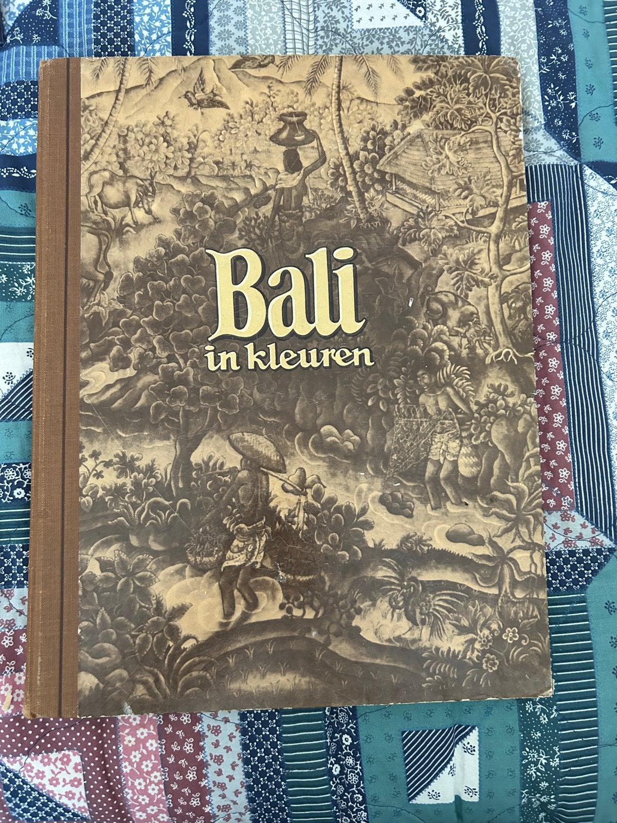 Bali in Kleuren - Piet Bakker & Wim Berssenbrugge, Ophalen of Verzenden, Reisgids of -boek, Azië, Gelezen