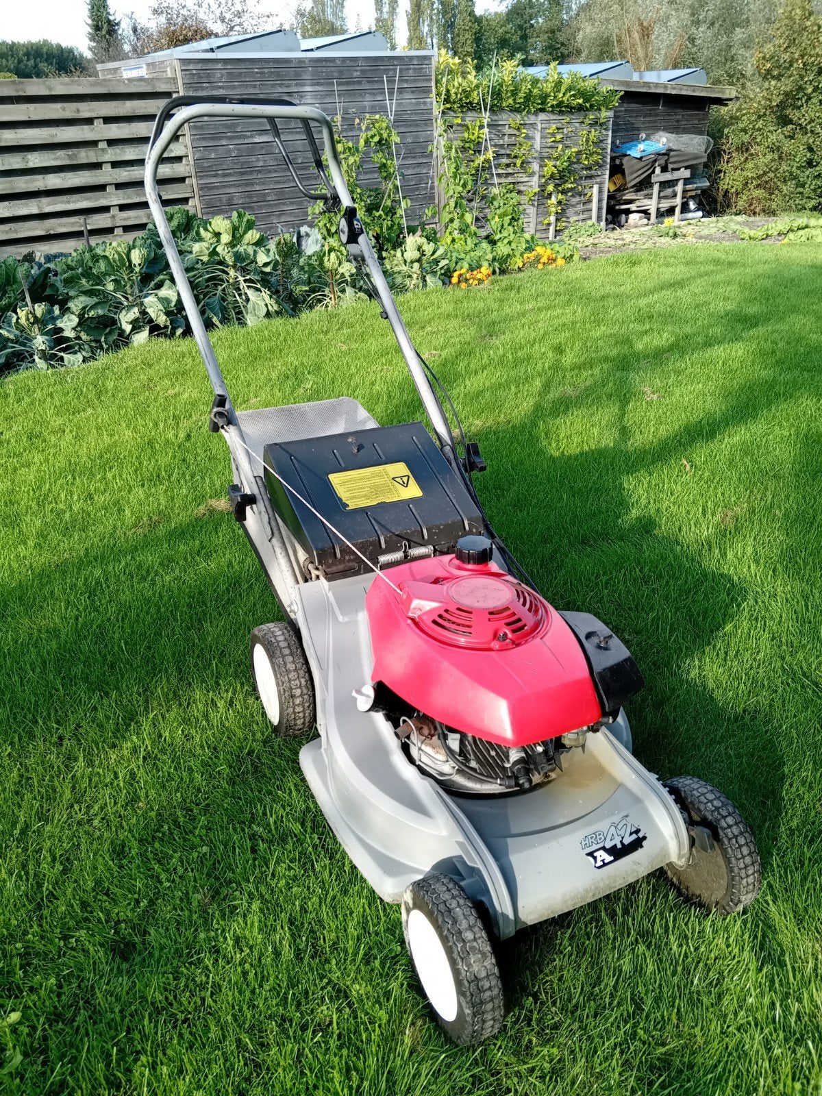 Honda HRB423 grasmaaier, Ophalen, Cirkelmaaier, Honda, Gebruikt