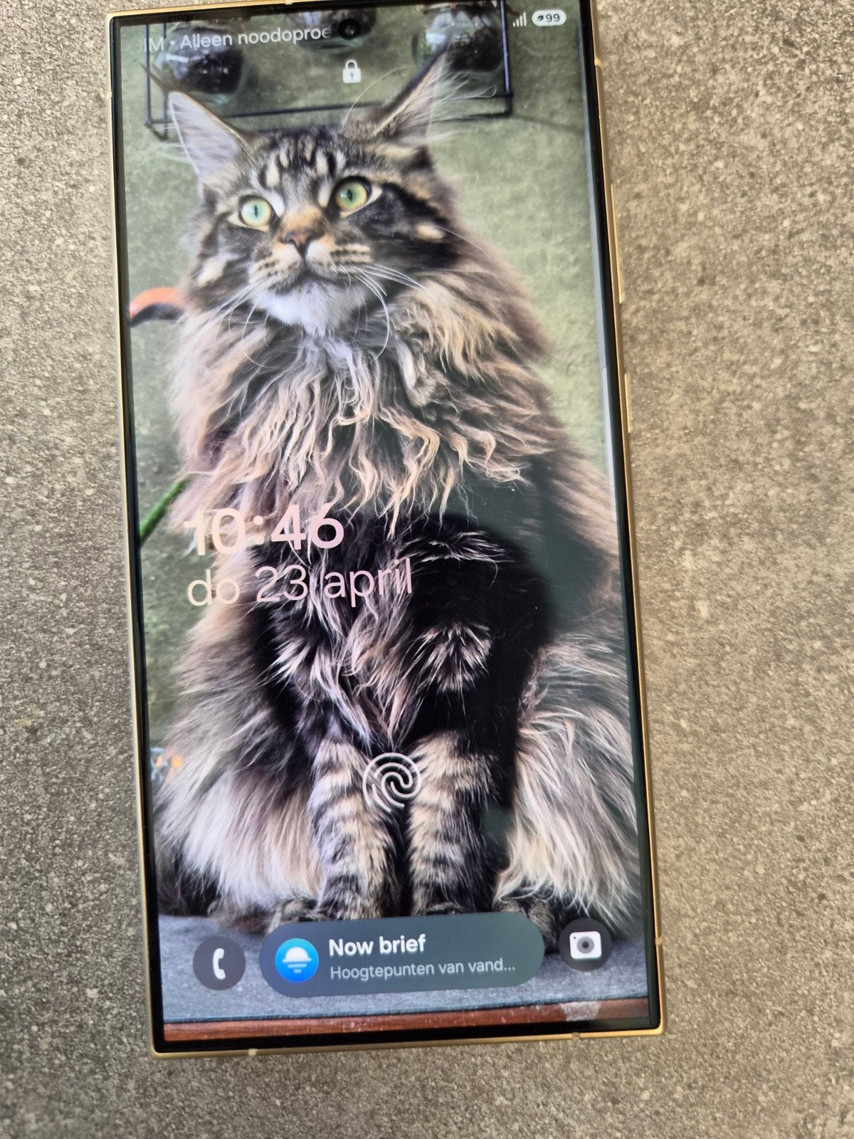 te zeer galaxy s24 Ulta, Ophalen
