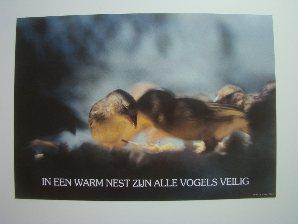 Poster  vogeltjes in nestje, Ophalen, Rechthoekig Liggend, Zo goed als nieuw, A1 t/m A3