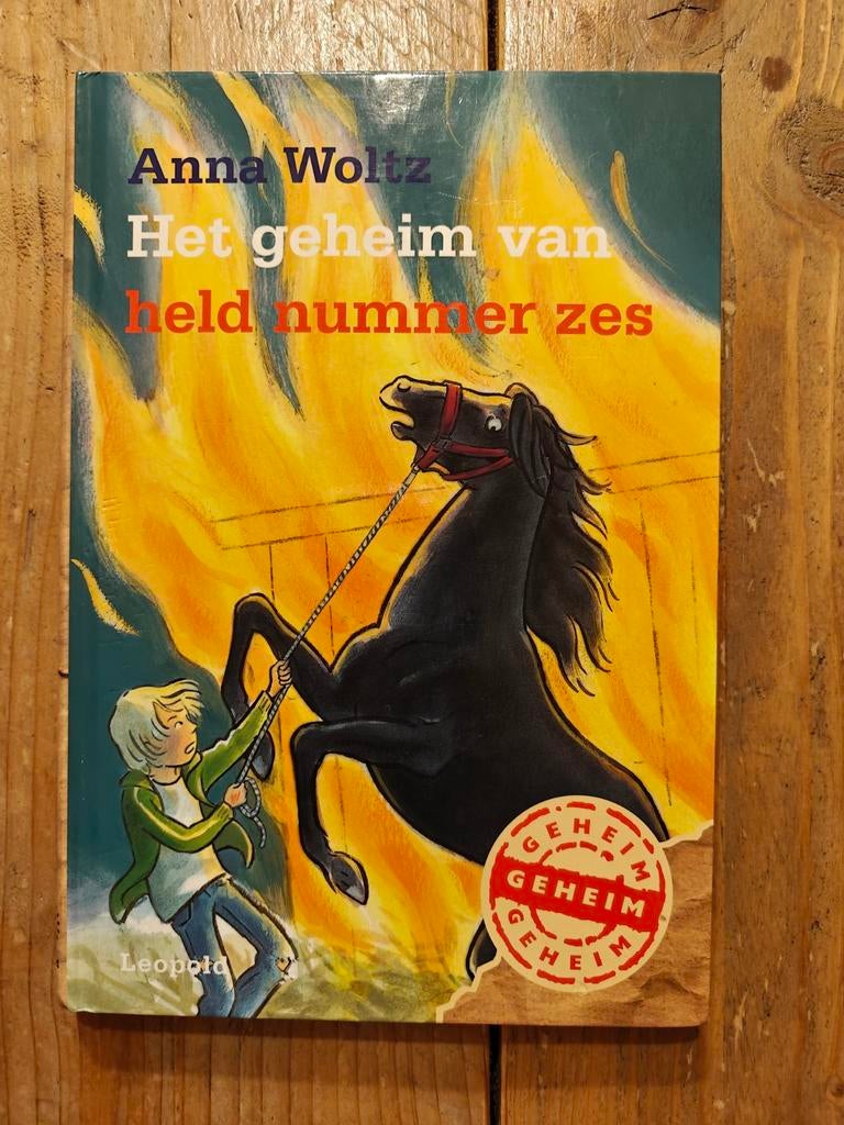 Het geheim van held nummer 6., Ophalen of Verzenden, Fictie algemeen