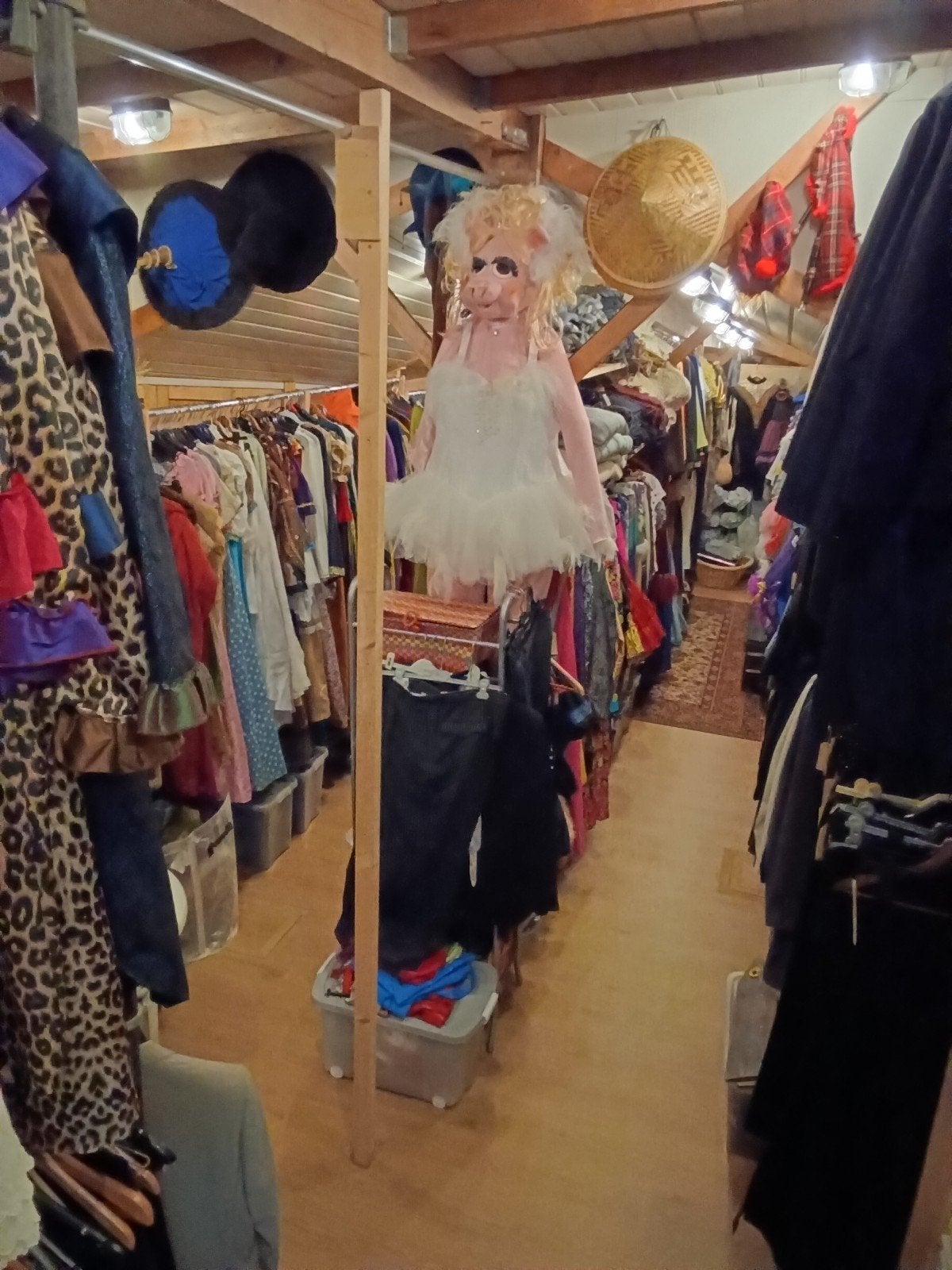 VERKOOP hele inrichting feestkledingverhuur, Ophalen, Versiering