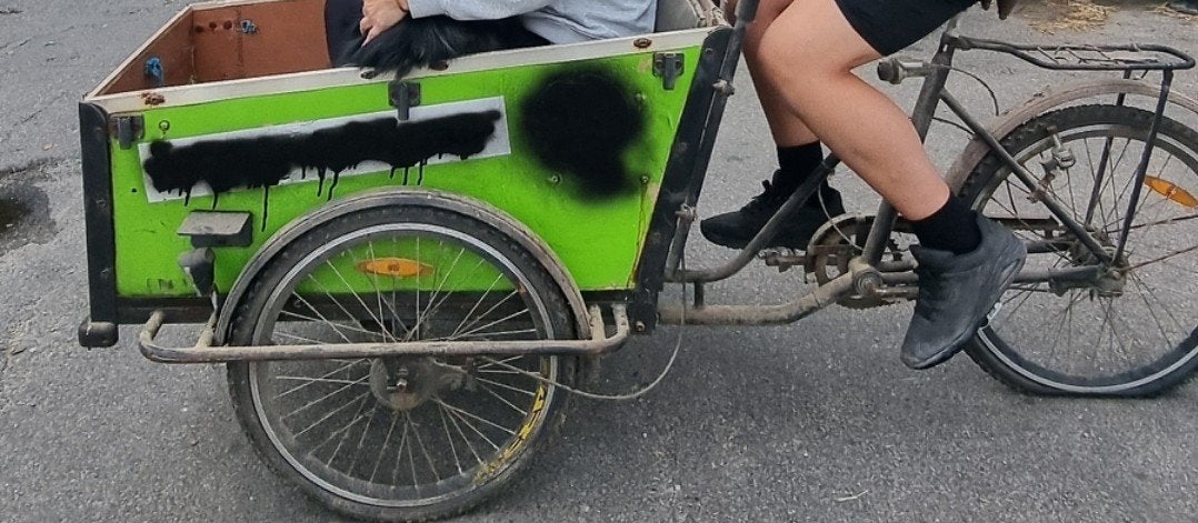Opknap bakfiets, Ophalen, Gebruikt, Goederen, Overige merken