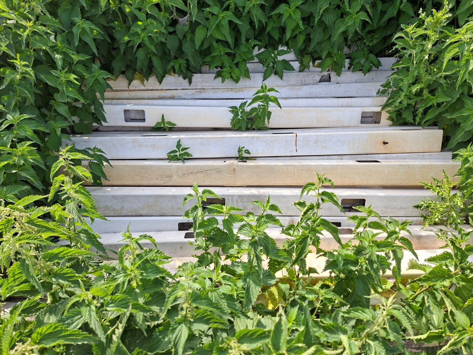 Witte kunststof hekken, ca. 80 meter, voor paardenbak, Tuin en Terras, Ophalen, Gebruikt, Kunststof, Overige typen