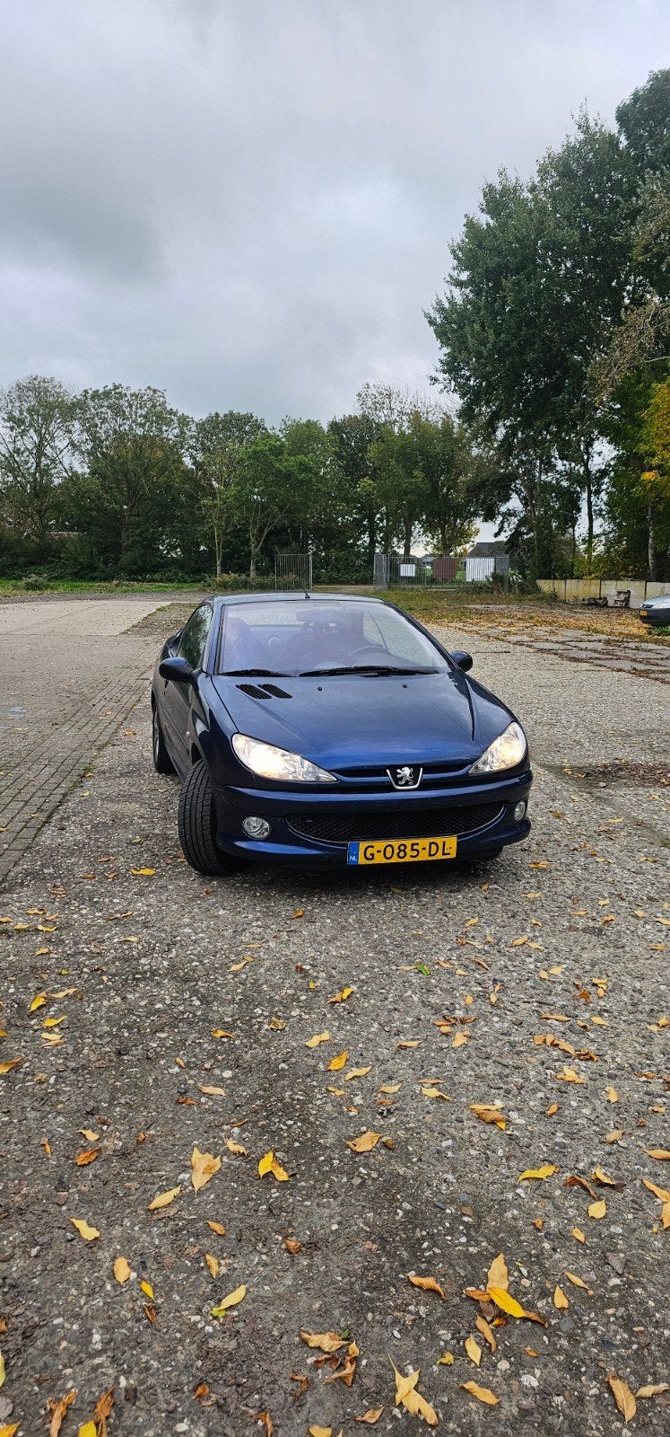 Peugeot 206 CC met JBL speakers en nieuwe koppeling, Ophalen of Verzenden, Gebruikt, Peugeot