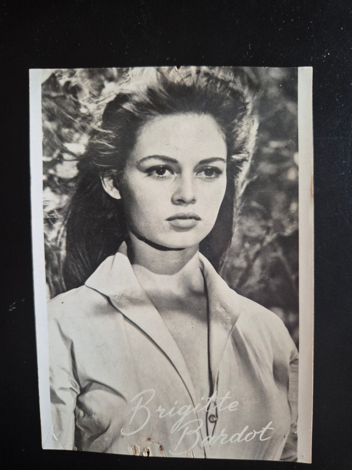 Brigitte Bardot, Ophalen of Verzenden, Gebruikt, Foto of Kaart