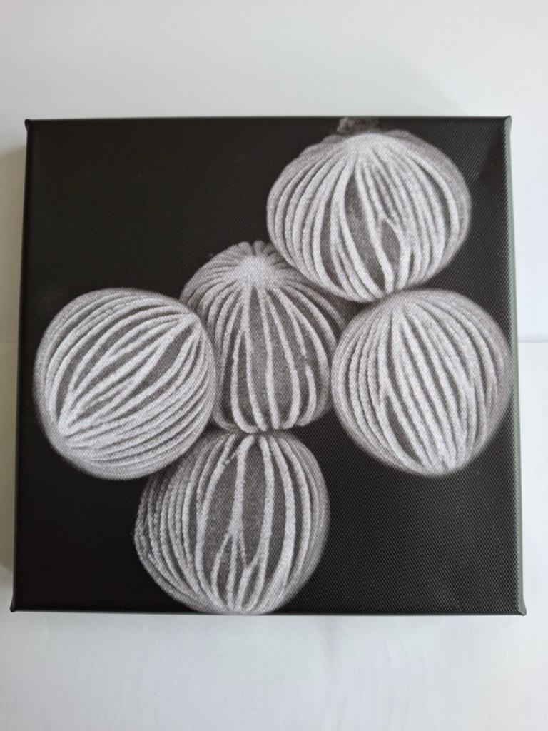 Microscopische Kunst: Lepelplant Stuifmeel Canvas 20x20cm, Minder dan 50 cm, Nieuw, Ophalen of Verzenden, Print