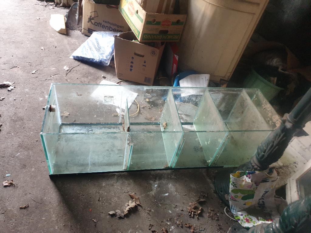 Bioloog voor aquarium, Ophalen, Gebruikt, Filter