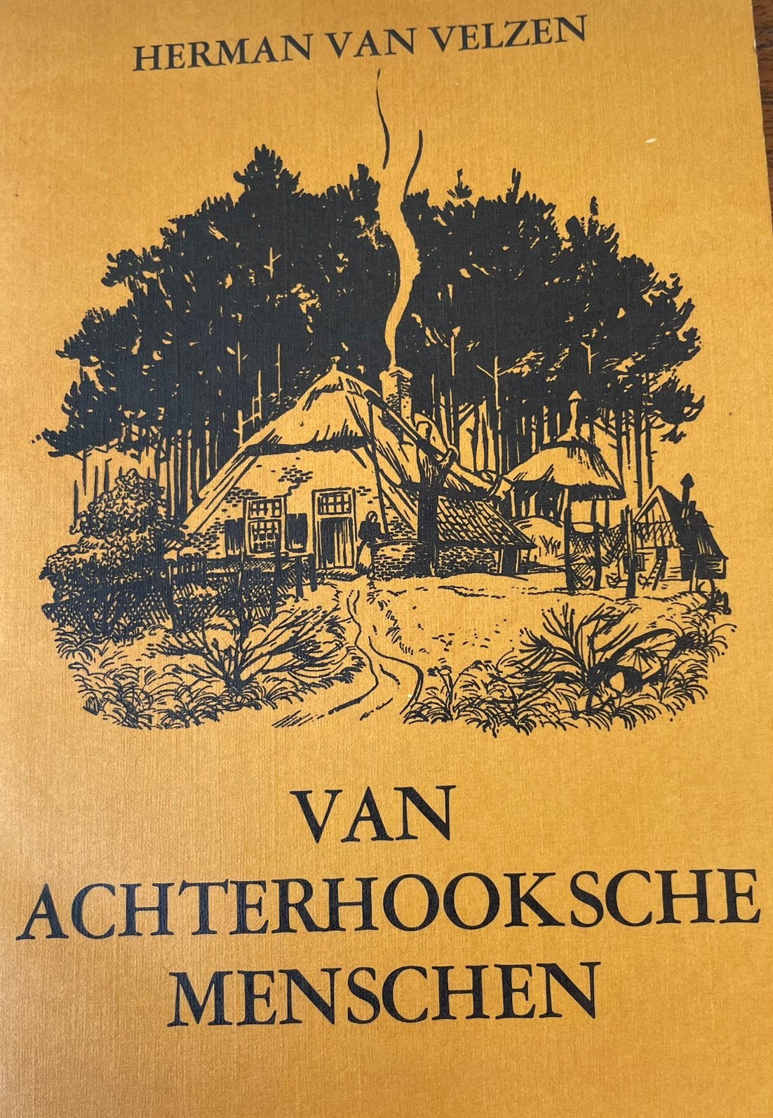 Van Achterhooksche mensen door Herman van Velzen, Boeken, Ophalen, Gelezen, Gelderland