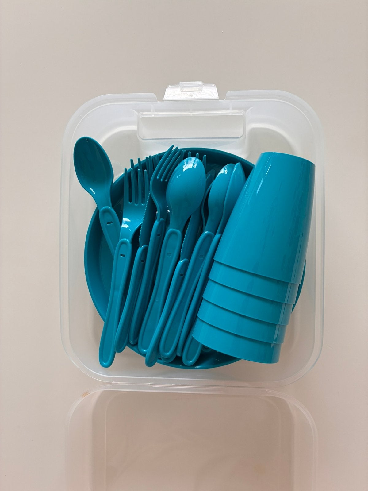 5-persoons kunststof picknickset met opbergbox – Blauw, Ophalen of Verzenden, Zo goed als nieuw