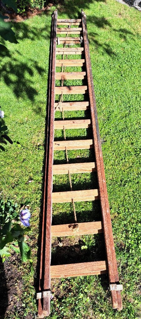 Houten ladder tweedelig, Doe-het-zelf en Verbouw, Ladders en Trappen, Ophalen of Verzenden, Gebruikt, Ladder, 2 tot 4 meter